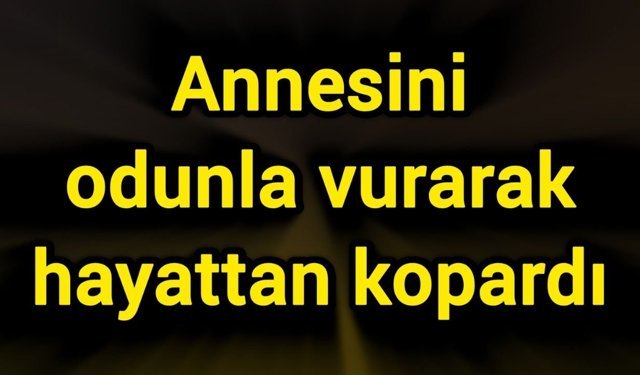 Annesini odunla vurarak hayattan kopardı