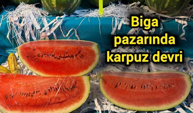 Biga pazarında karpuz devri
