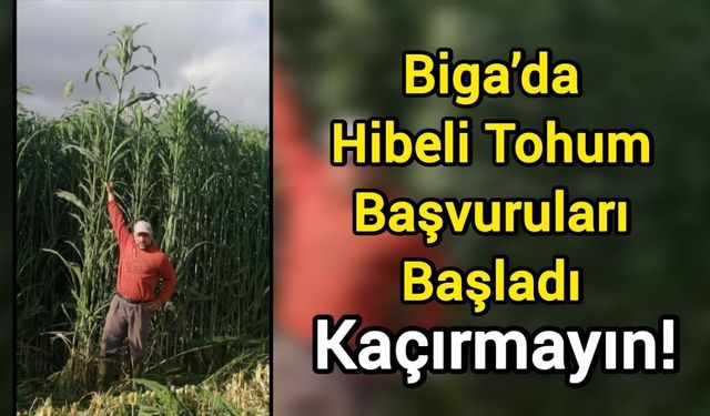 Biga’da Hibeli Tohum Başvuruları Başladı: Kaçırmayın!