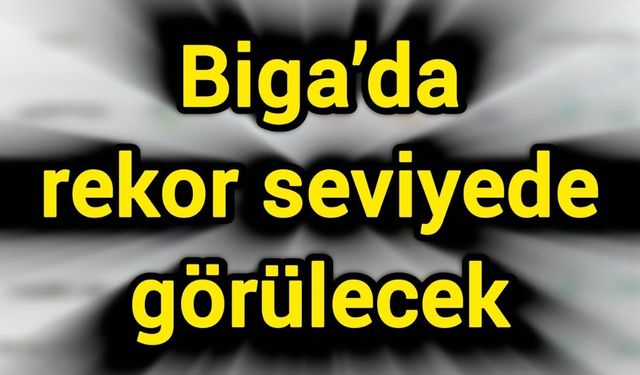 Biga’da rekor seviyede görülecek