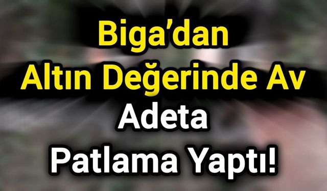 Biga’dan altın değerinde av: Adeta patlama yaptı!