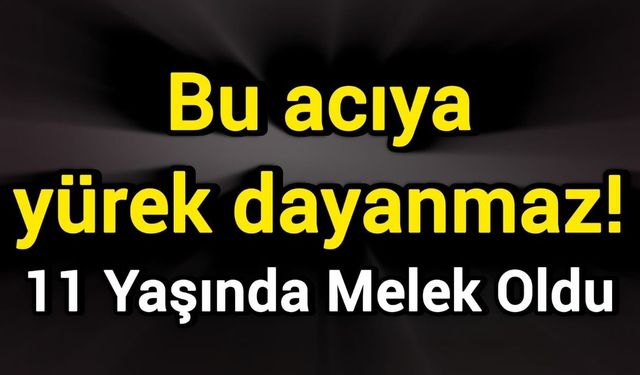 Bu acıya yürek dayanmaz!
