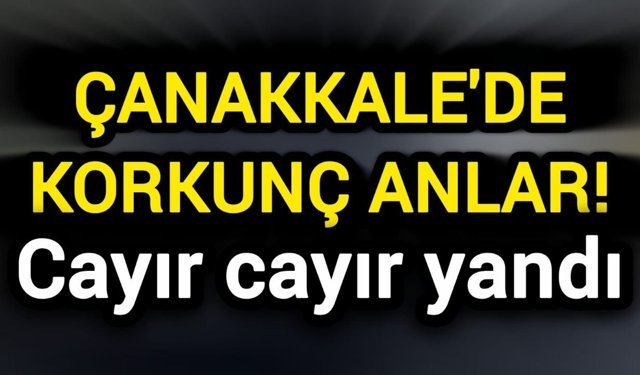 Çanakkale'de korkunç anlar! Cayır cayır yandı