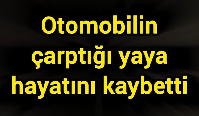 Otomobilin çarptığı yaya hayatını kaybetti