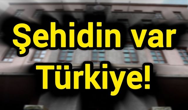 Şehidin var Türkiye!