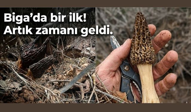Biga’da bir ilk! Artık zamanı geldi