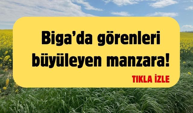 Biga’da görenleri büyüleyen manzara!
