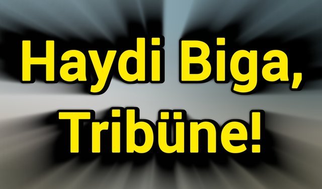Haydi Biga, Tribüne!