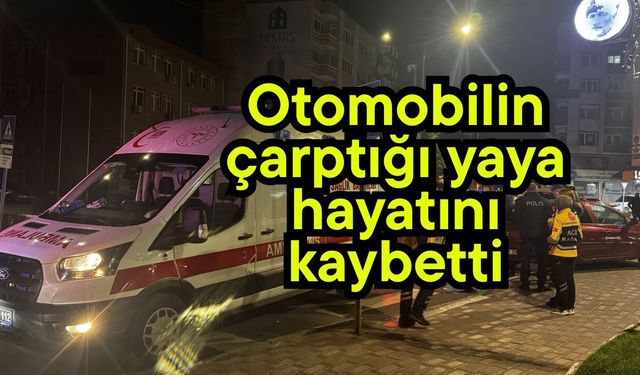 Otomobilin çarptığı yaya hayatını kaybetti