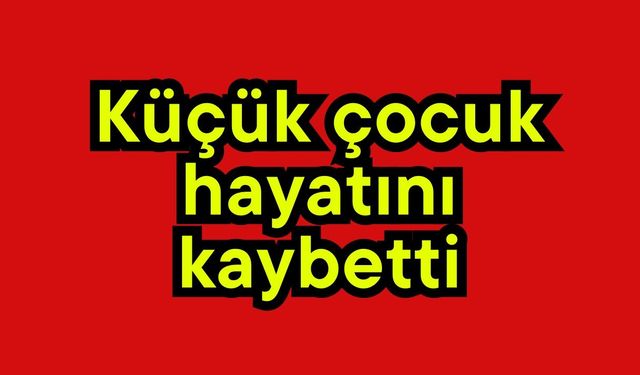 Küçük çocuk hayatını kaybetti
