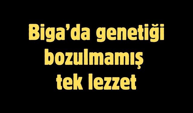 Biga’da genetiği bozulmamış tek lezzet