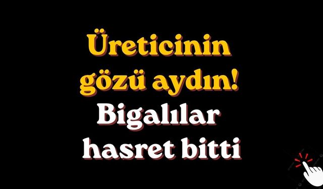 Üreticinin gözü aydın! Bigalılar hasret bitti