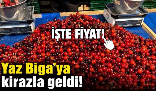 Yaz Biga'ya kirazla geldi! İşte fiyatı