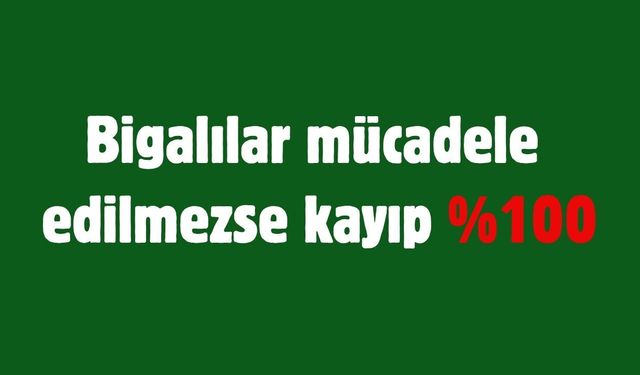 Bigalılar mücadele edilmezse kayıp %100