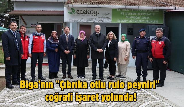 Biga’nın "Çıbrıka otlu rulo peyniri" coğrafi işaret yolunda!