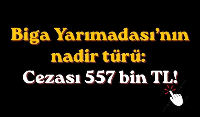 Biga Yarımadası’nın nadir türü: cezası 557 bin TL!