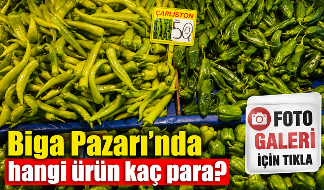 Biga Pazarı'nda hangi ürün kaç para?