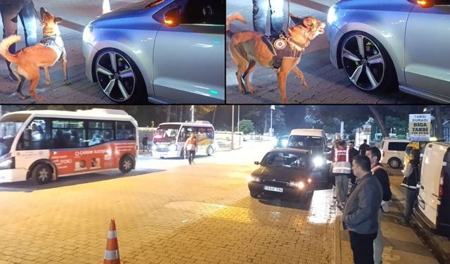 Biga'da Dev Asayiş Operasyonu: Köpeklerle Her Nokta Denetlendi (Video)
