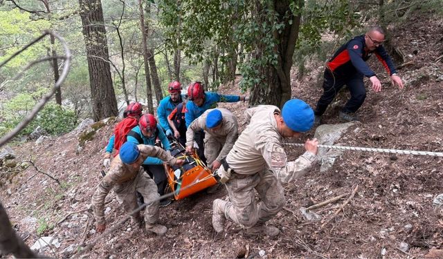 Kayıp olarak aranan kişi arazide ölü bulundu