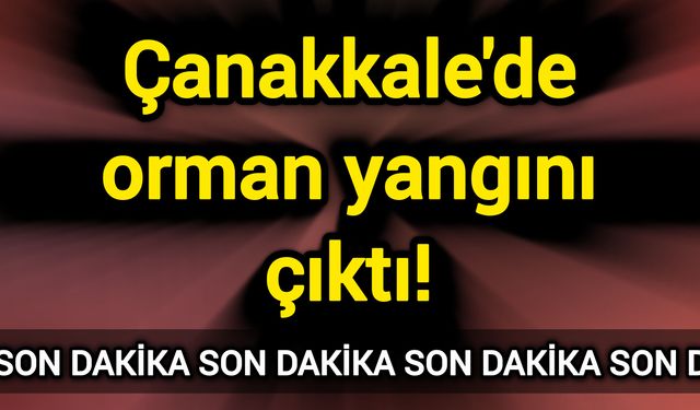 Çanakkale'de orman yangını çıktı!