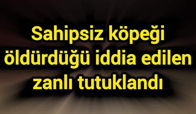 Sahipsiz köpeği öldürdüğü iddia edilen zanlı tutuklandı
