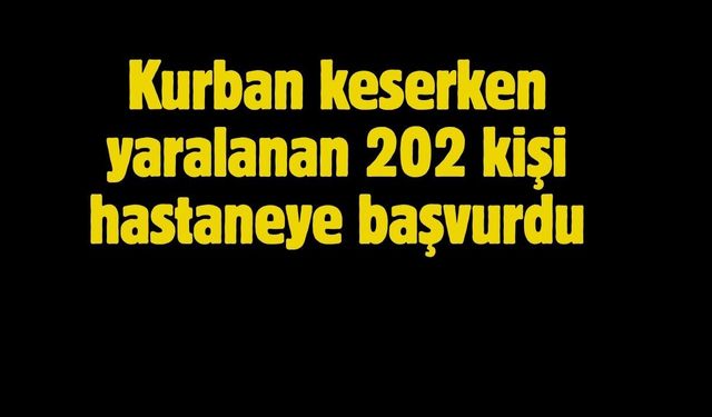 Kurban keserken yaralanan 202 kişi hastaneye başvurdu