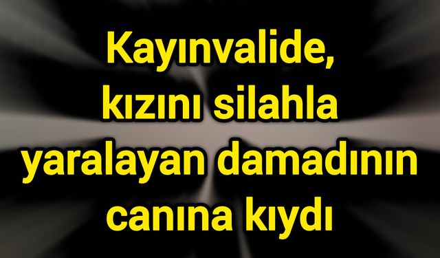 Kayınvalide, kızını silahla yaralayan damadının canına kıydı
