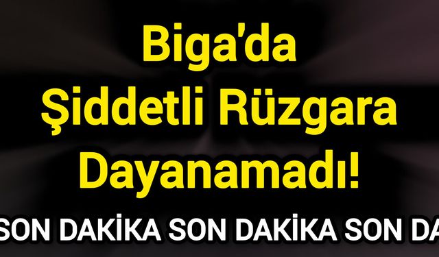 Biga'da Şiddetli Rüzgara Dayanamadı!
