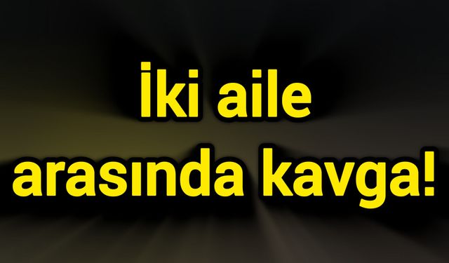 İki aile arasında kavga!