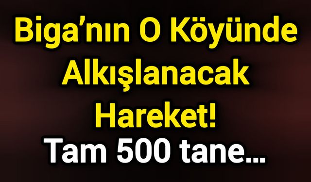 Biga’nın O Köyünde Alkışlanacak Hareket! Tam 500 tane…