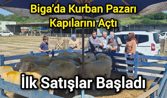Biga’da Kurban Pazarı Kapılarını Açtı: İlk Satışlar Başladı