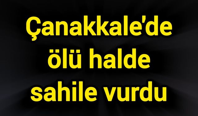 Çanakkale'de ölü halde sahile vurdu