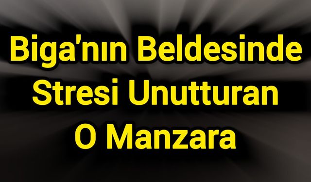 Biga'nın Beldesinde Stresi Unutturan O Manzara