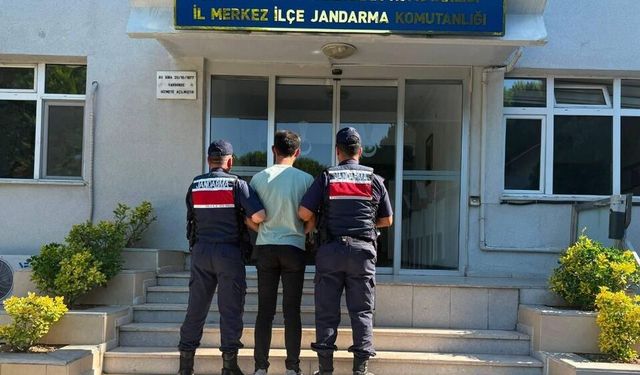 Çanakkale'de yangına ilişkin 1 kişi hakkında adli işlem başlatıldı