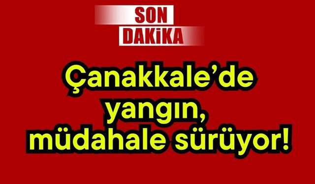 Çanakkale’de yangın, müdahale sürüyor!