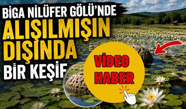 Biga Nilüfer Gölü’nde alışılmışın dışında bir keşif