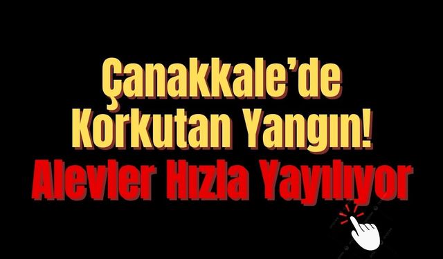 Çanakkale’de Korkutan Yangın! Alevler Hızla Yayılıyor