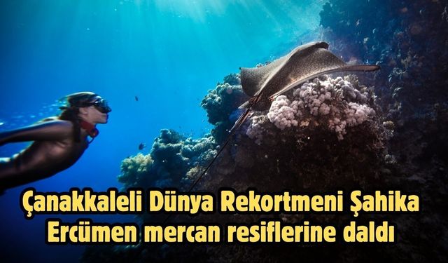 Çanakkaleli Dünya Rekortmeni Şahika Ercümen mercan resiflerine daldı