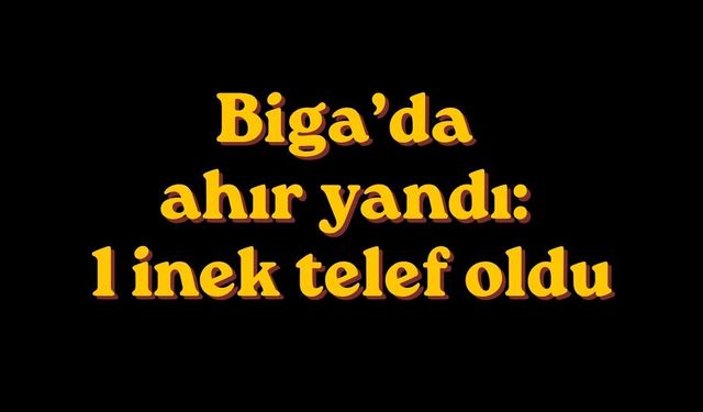 Biga’da ahır yandı: 1 inek telef oldu