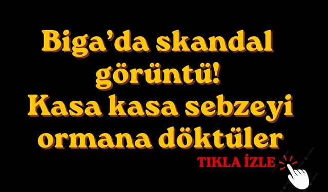 Biga’da skandal görüntü! Kasa kasa sebzeyi ormana döktüler