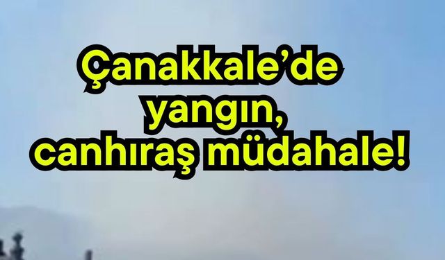 Çanakkale’de yangın, canhıraş müdahale!