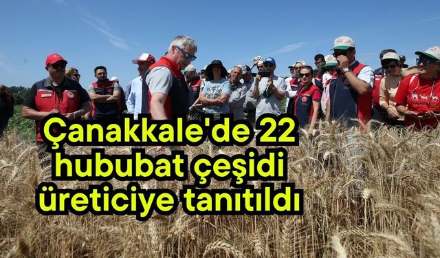 Çanakkale'de 22 hububat çeşidi üreticiye tanıtıldı