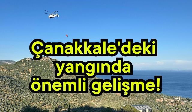 Çanakkale'deki yangında önemli gelişme!