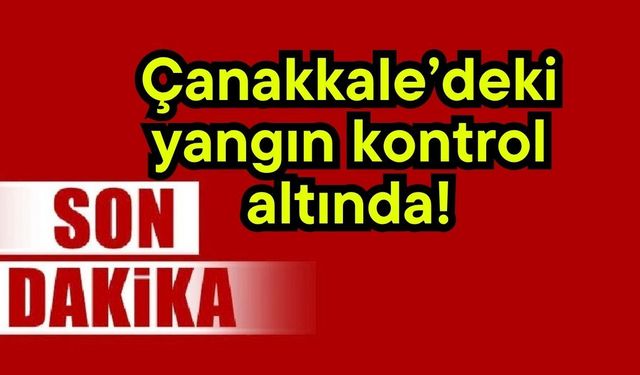 Çanakkale’deki yangın kontrol altında!