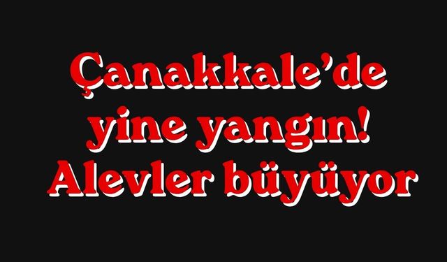 Çanakkale’de yine yangın! Alevler büyüyor