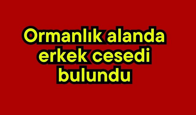 Ormanlık alanda erkek cesedi bulundu