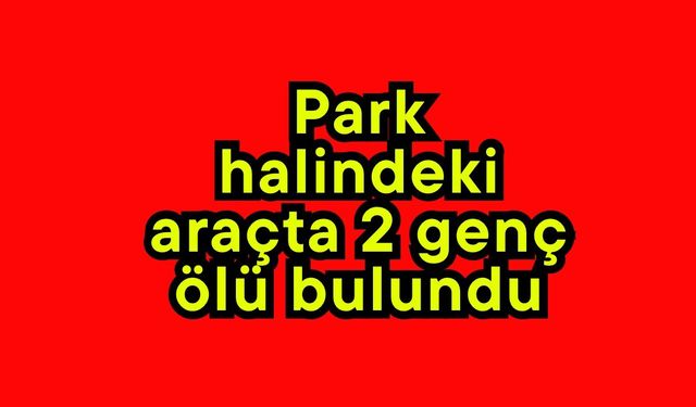 Park halindeki araçta 2 genç ölü bulundu