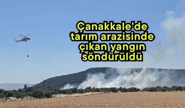 Çanakkale'de tarım arazisinde çıkan yangın söndürüldü