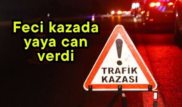 Feci kazada yaya can verdi