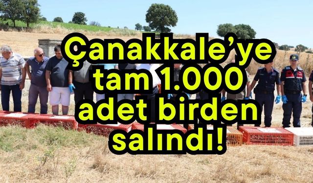 Çanakkale’ye tam 1.000 adet birden salındı!